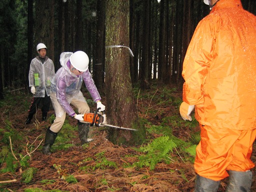 社員による森林整備作業（平成25年4月）