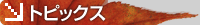 �g�s�b�N�X