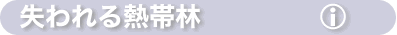MщJтփN