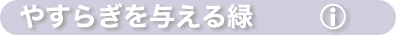 ₷炬^