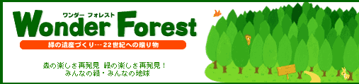 Wonder Forest