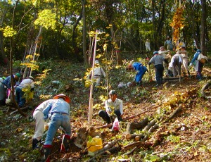 金谷山さくら千本の会