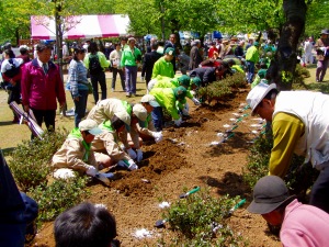 上越グリーンフェスティバルと共催で上越市高田公園にて開催しました。