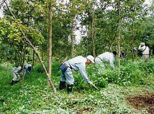 年3回の活動を継続しています。