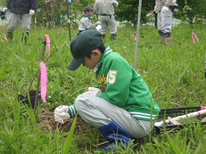 グリーンパークあらかわ総合運動公園内に、434本の苗木を植栽しました。