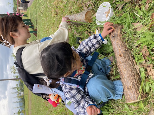 令和8年5月9日(土)、グリーンパークあらかわ運動公園にて、第24回「活樹を通じ、自然を学ぶ日」が開催されました。
