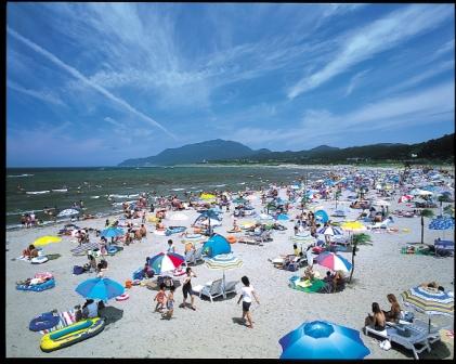 海水浴場の賑わい