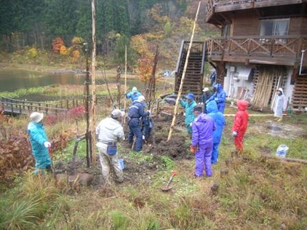 ナナカマドの植樹作業