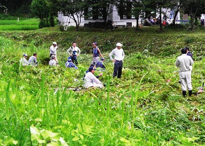 桑取川西山地区での河川敷清掃と下草刈り