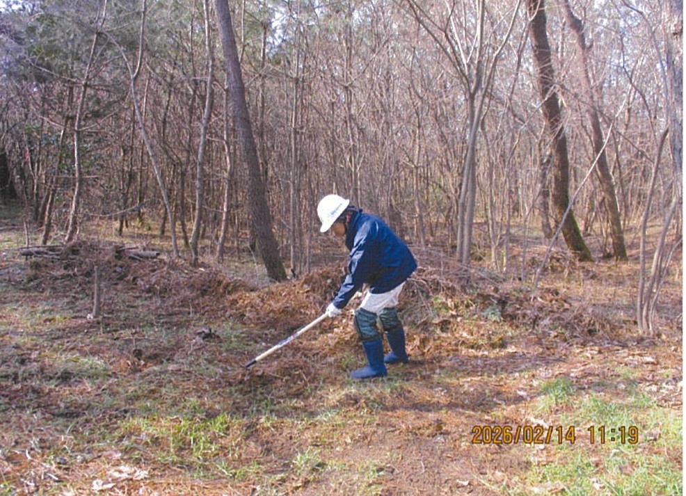 植林地予定地におけるレーキで整地作業