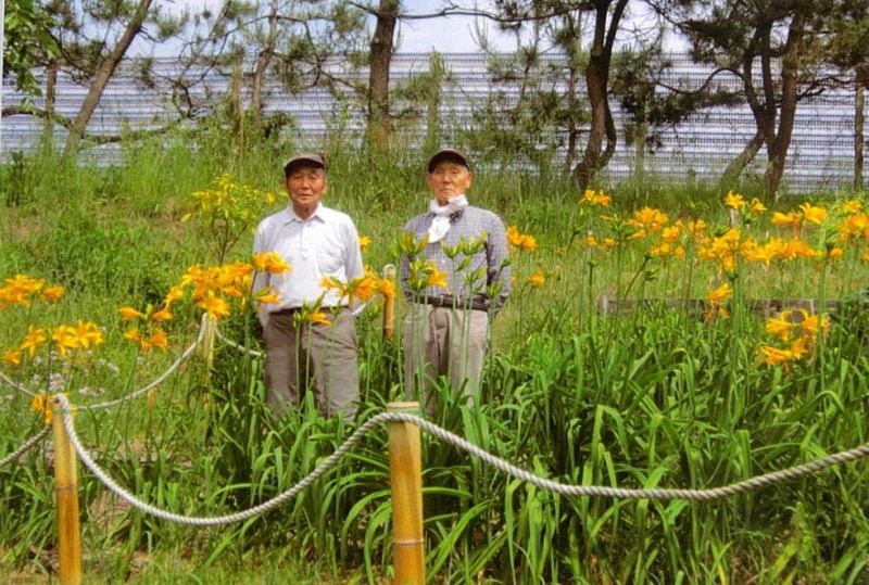 飛鳥カンゾウを育てているお二人と見事に咲いた花