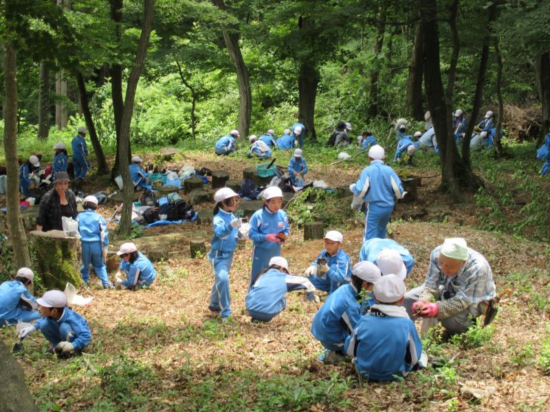 6.21　荻川小学校　実生苗の採取（学校の森に植樹）